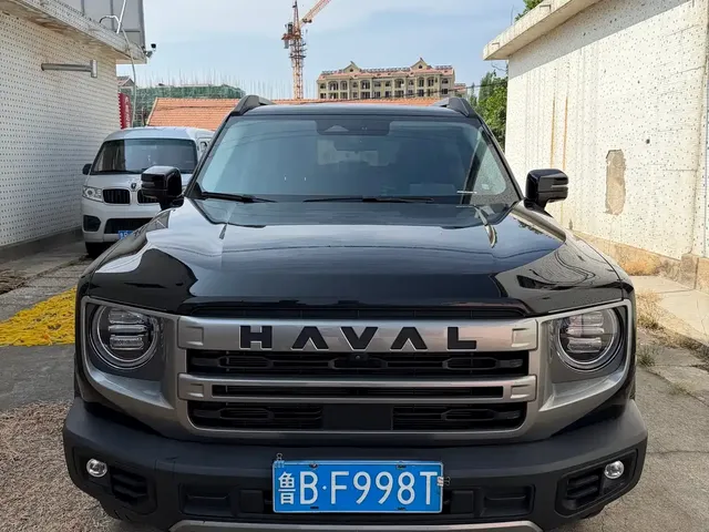 Haval Big Dog 2024 1.5T DCT Border Collie Edition