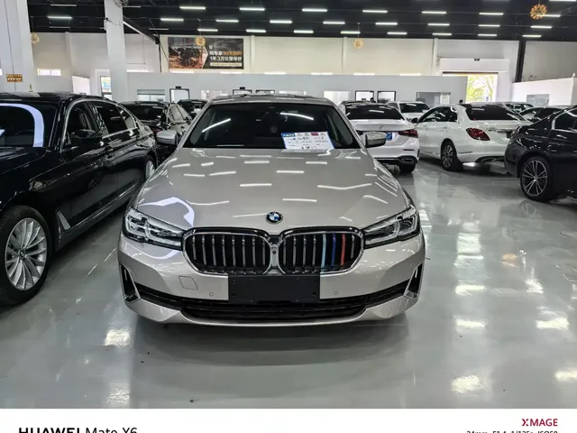 BMW 5 Series 2021 530Li Premium Luxury Package