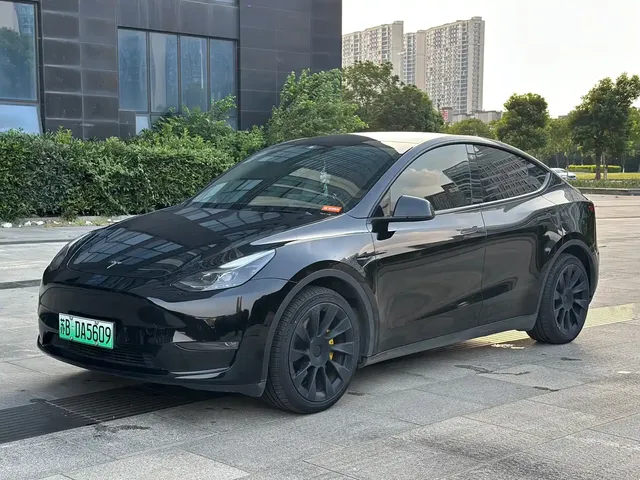 Tesla Model Y 2021 Standard Range Rear-Wheel Drive