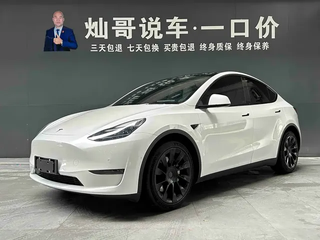 Tesla Model Y 2021 Long Range All-Wheel Drive 3D7