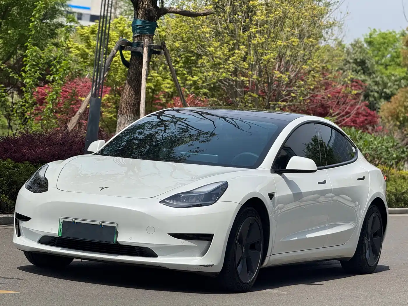 Tesla Model 3 2021 Standard Range Rear-Wheel Drive Upgrade