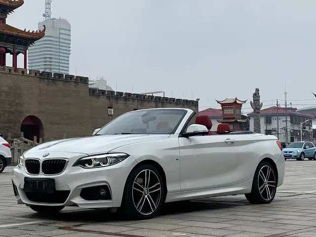 BMW 2 Series (Import) 2018 225i Convertible Coupe Premium M Sport Package