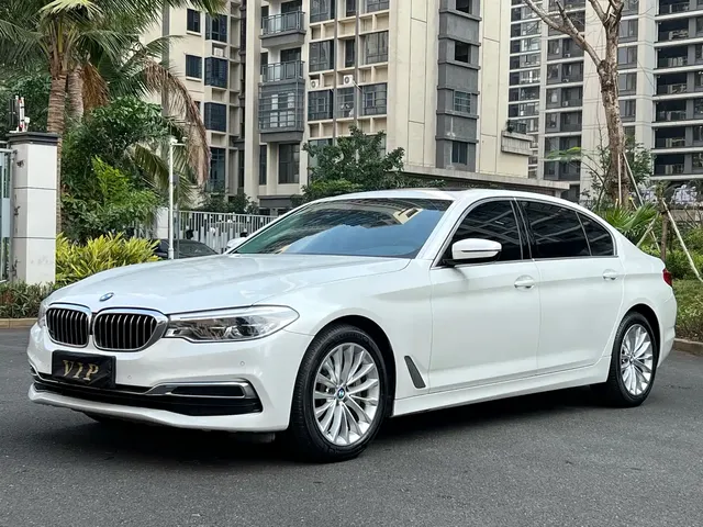 BMW 5 Series 2020 530Li Leading M Sport Package