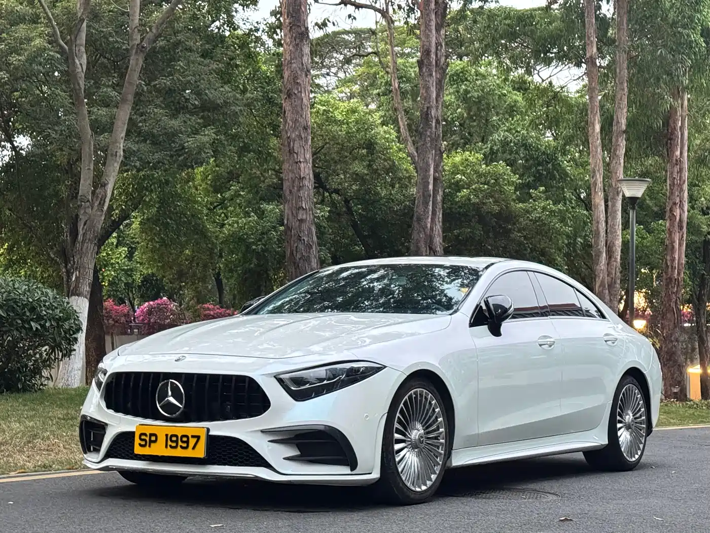 Mercedes-Benz CLS 2020 CLS 300 Dynamic