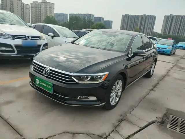 Volkswagen Magotan 2019 330TSI DSG Luxury China V