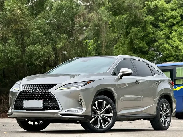 Lexus RX 2020 300 4WD Elegance Edition China VI