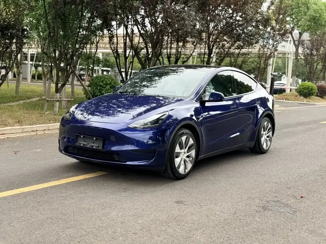 Tesla Model Y 2022 Rear-Wheel Drive Version