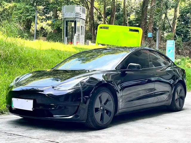 Tesla Model 3 2021 Standard Range Rear-Wheel Drive Upgrade