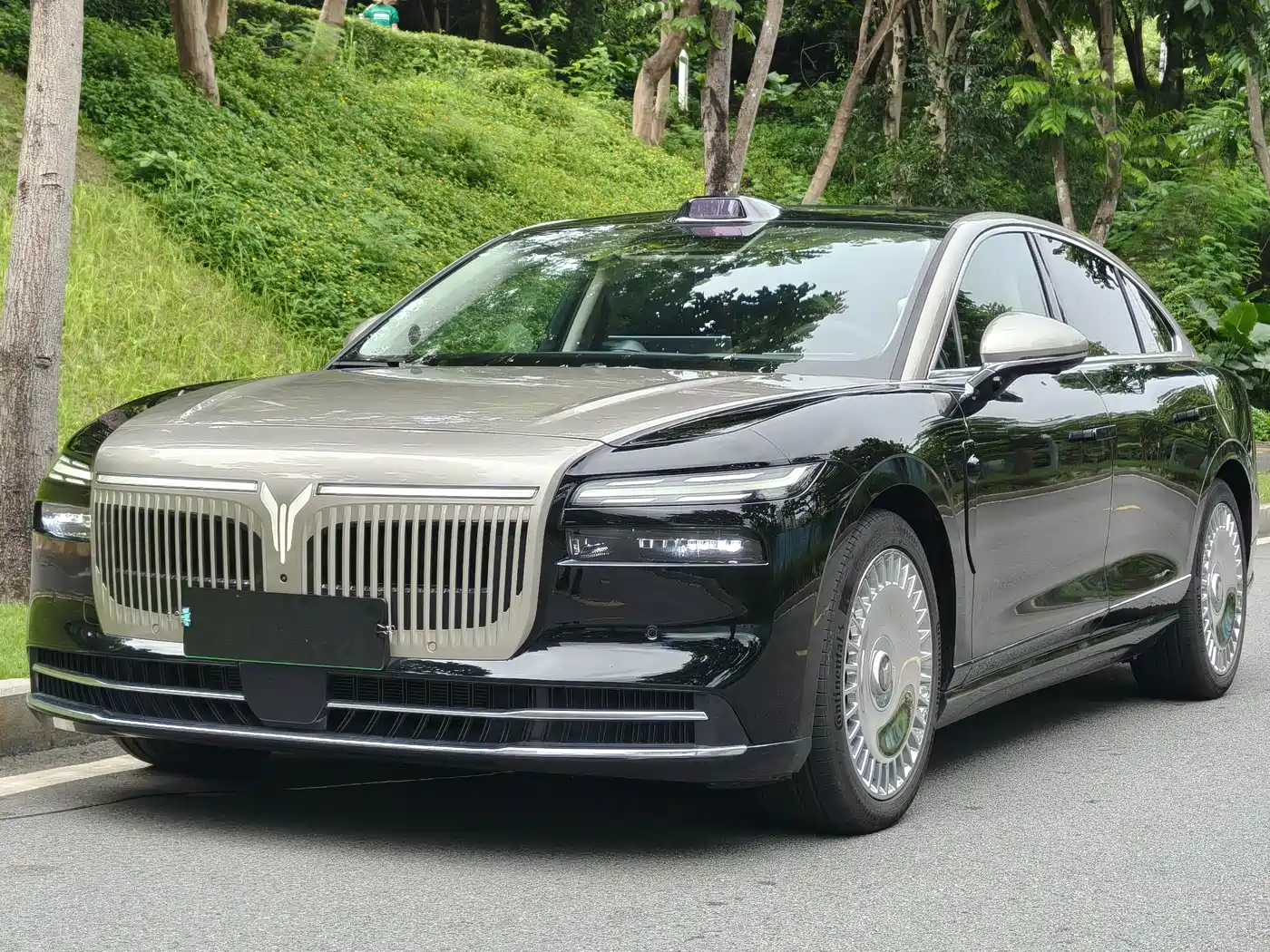 Voyah Auto VOYAH Zhuiguang L 2025 Mid-configuration Model