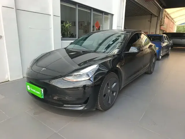 Tesla Model 3 2021 Standard Range Rear-Wheel Drive Upgrade 3D6