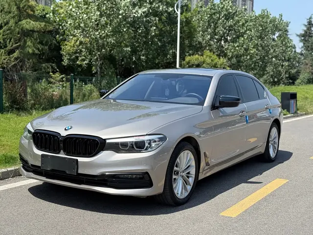 BMW 5 Series 2019 530Li Leading Luxury Package