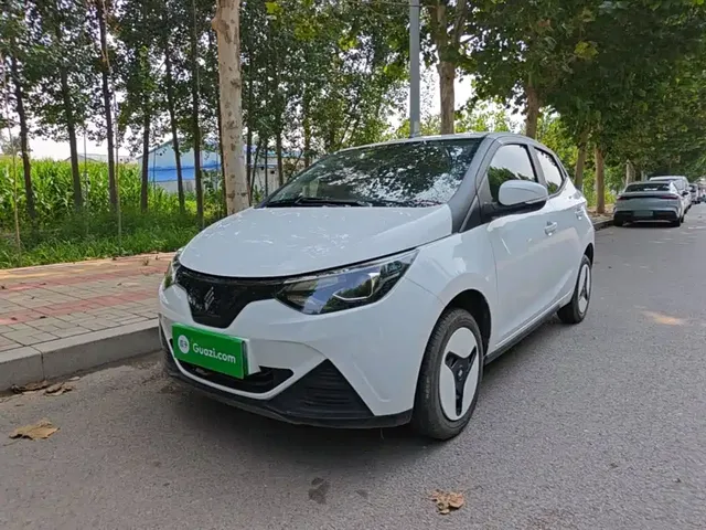 JMCG New Energy Little Kirin 2024 201km Comfort Model