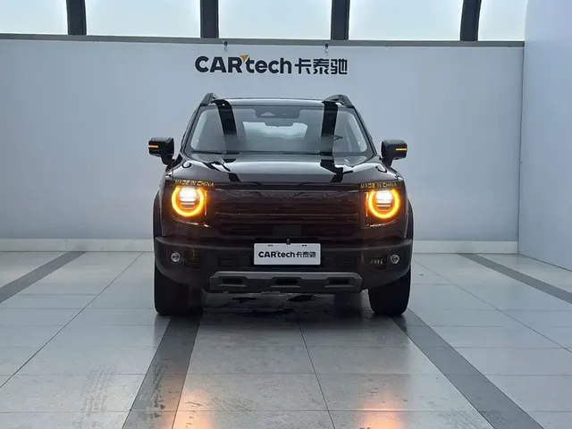 Haval Big Dog 2024 1.5T DCT Border Collie Edition