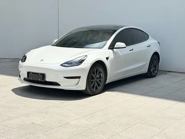 Tesla Model 3 2021 Facelift Standard Range RWD Upgrade 3D1