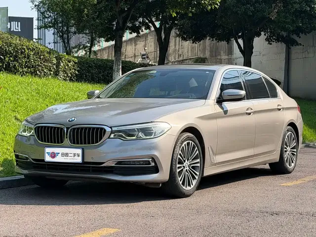 BMW 5 Series 2019 530Li Premium Luxury Package