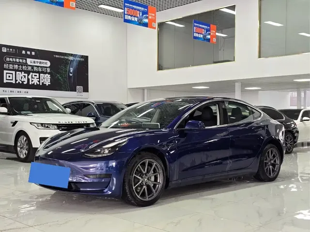 Tesla Model 3 2021 Standard Range Rear-Wheel Drive Upgrade 3D6