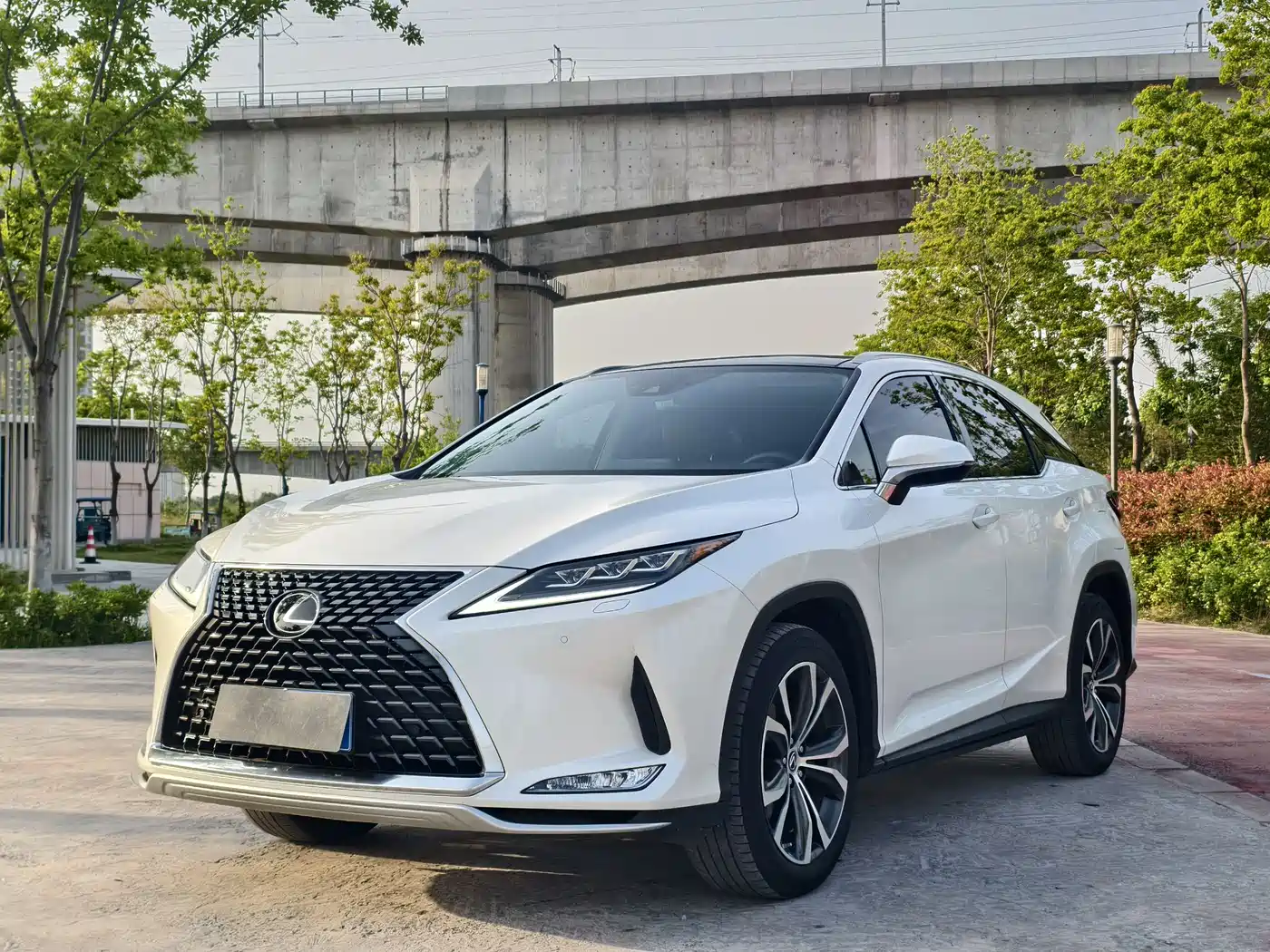 Lexus RX 2020 300 4WD Elegance Edition China VI