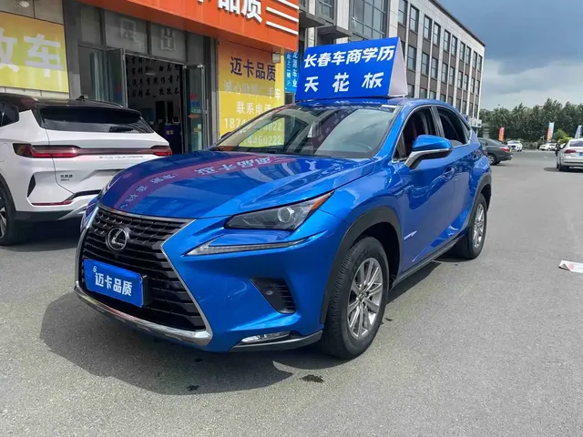 Lexus NX 2018 Model 300 FWD Fengxing Edition