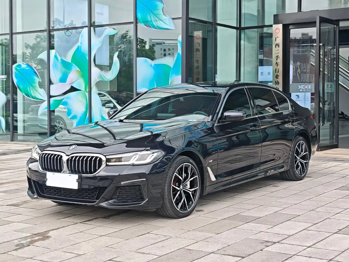 BMW 5 Series 2021 530Li Premium M Sport Package