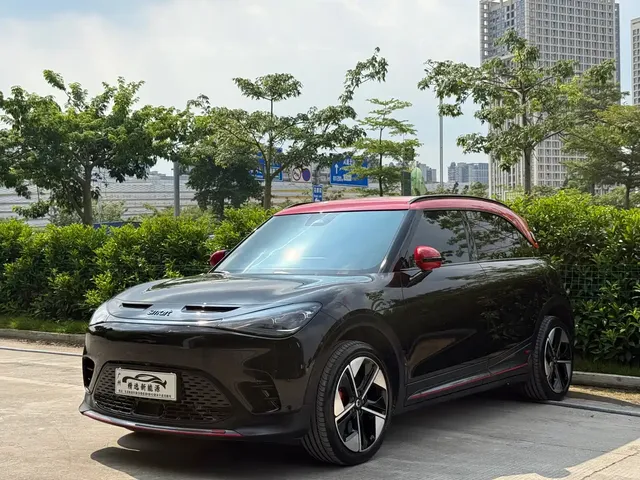 smart Elf #1 2022 BRABUS Performance Edition