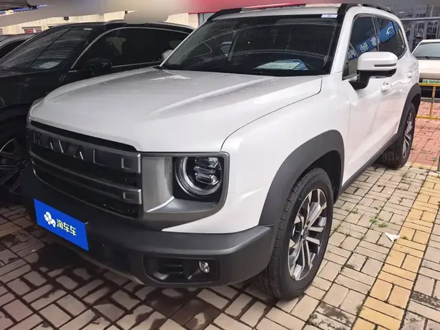 Haval Big Dog 2024 1.5T DCT Border Collie Edition