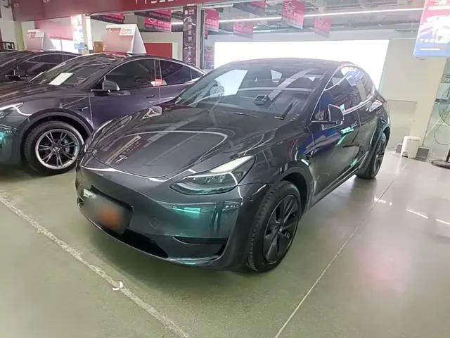 Tesla Model Y 2024 Rear-Wheel Drive Version
