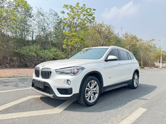 BMW X1 2018 sDrive20Li Leading Model