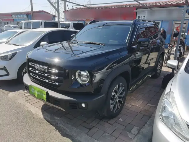 Haval Big Dog 2021 1.5T DCT 2WD Border Collie Edition