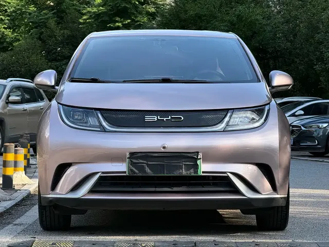 BYD Dolphin 2021 405km Freedom Edition