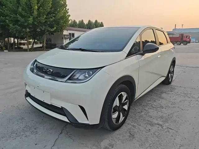 BYD Dolphin 2025 420km Freedom Edition