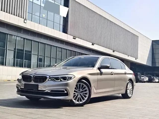 BMW 5 Series 2020 530Li Leading Luxury Package