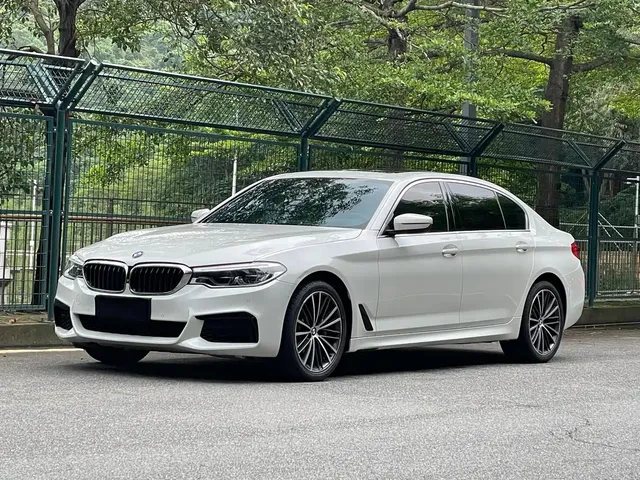 BMW 5 Series 2020 530Li Exclusive M Sport Package
