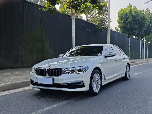 BMW 5 Series 2020 530Li Premium Luxury Package