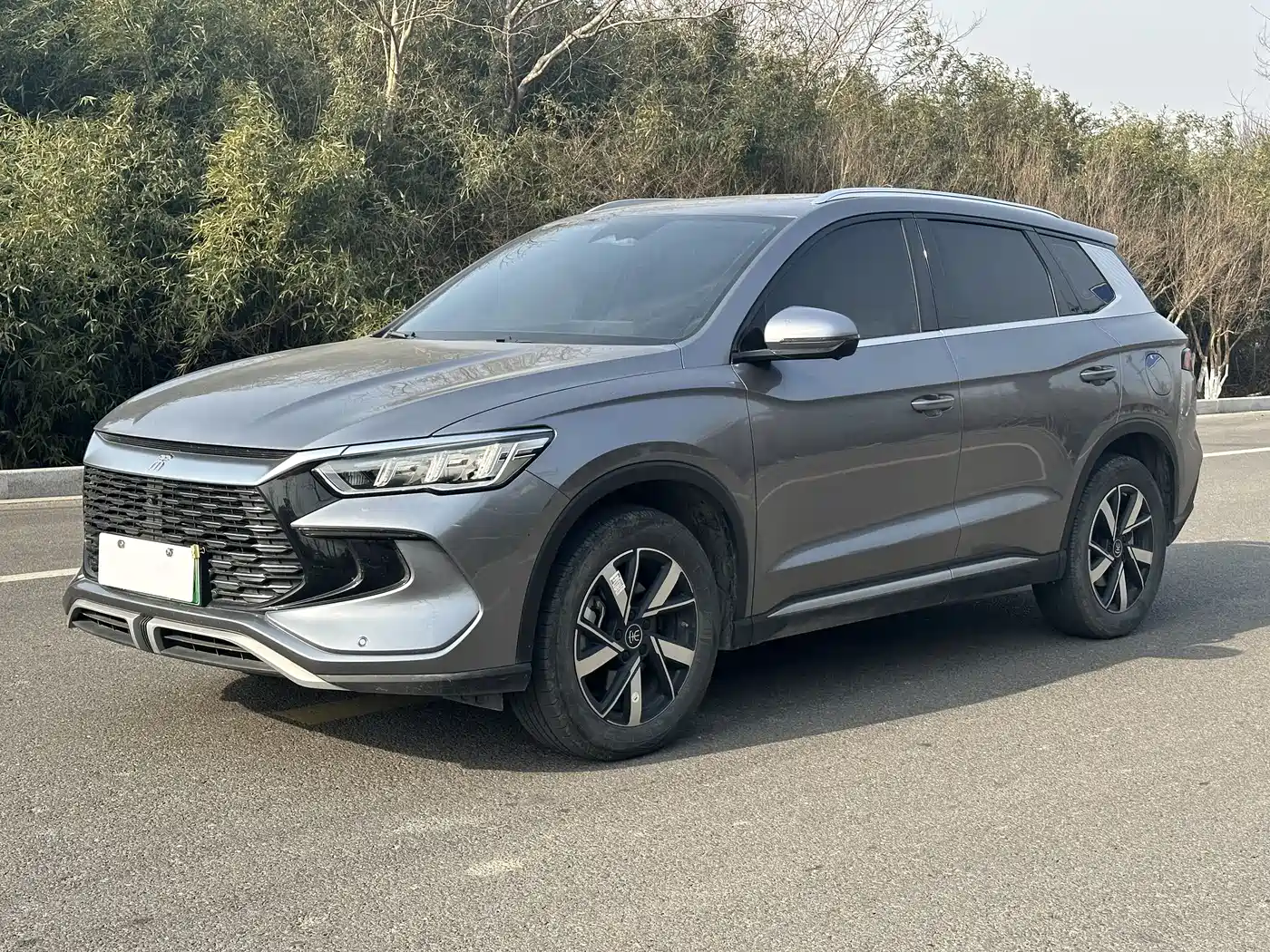 BYD Song Pro New Energy 2024 Glory Edition DM-i 110KM Surpassing