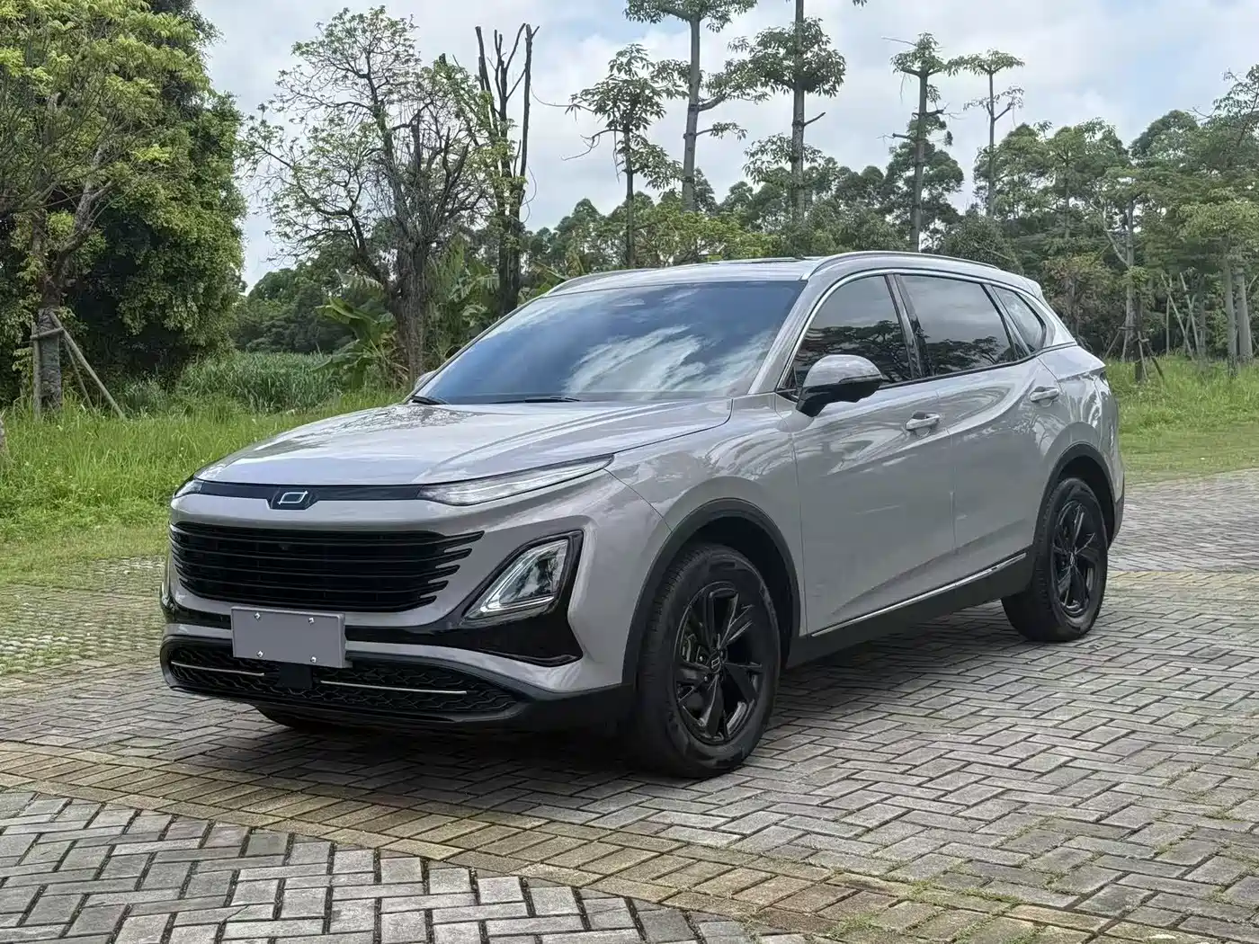 Besturn Bestune T90 2025 Dragon Glory Edition 1.5T Joy Model
