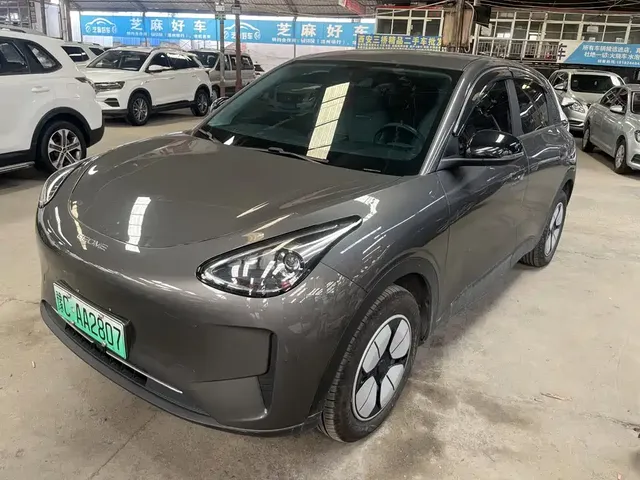 Geely Galaxy Starry Wish 2025 310km Youth Edition