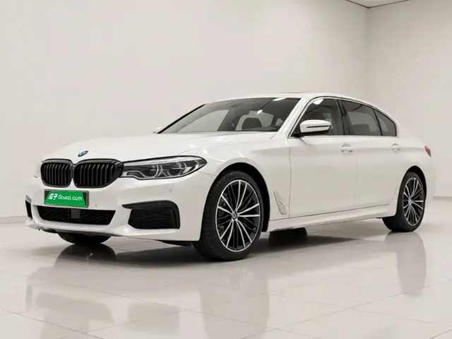 BMW 5 Series 2020 530Li Leading M Sport Package