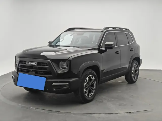 Haval Big Dog 2024 1.5T DCT Border Collie Edition