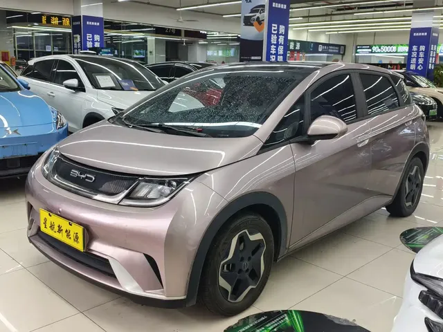 BYD Dolphin 2021 Model 405km Fashion Edition