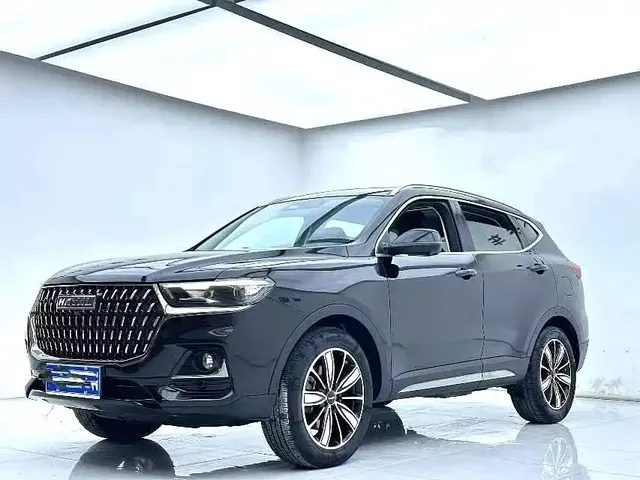 Haval H6 2023 National Trend Edition 1.5T Automatic Champion
