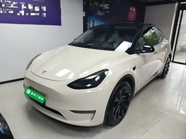 Tesla Model Y 2021 Model Long Range AWD