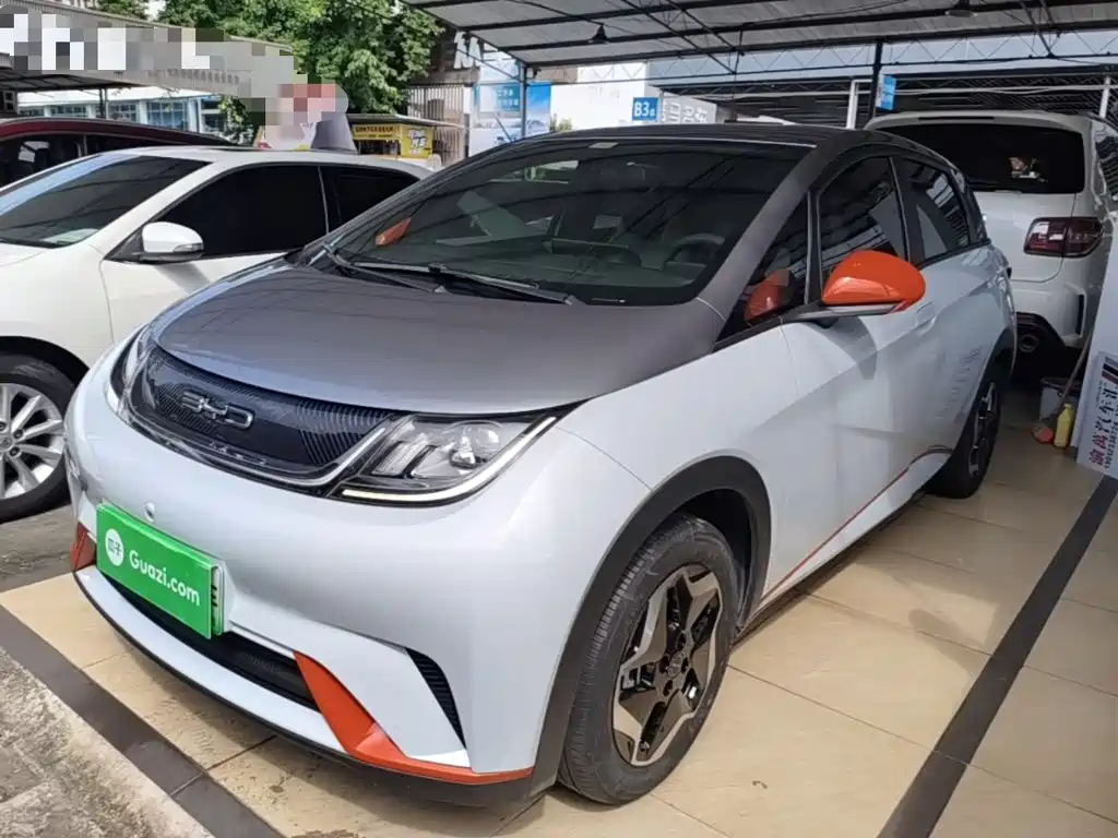BYD Dolphin 2021 405km Freedom Edition