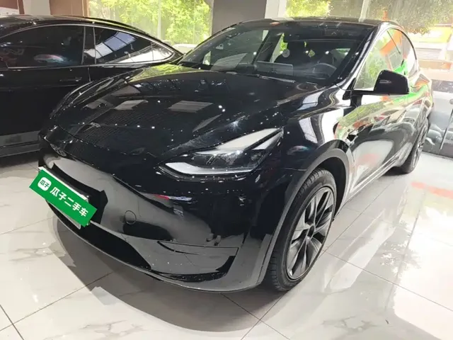 Tesla Model Y 2024 Rear-Wheel Drive Version