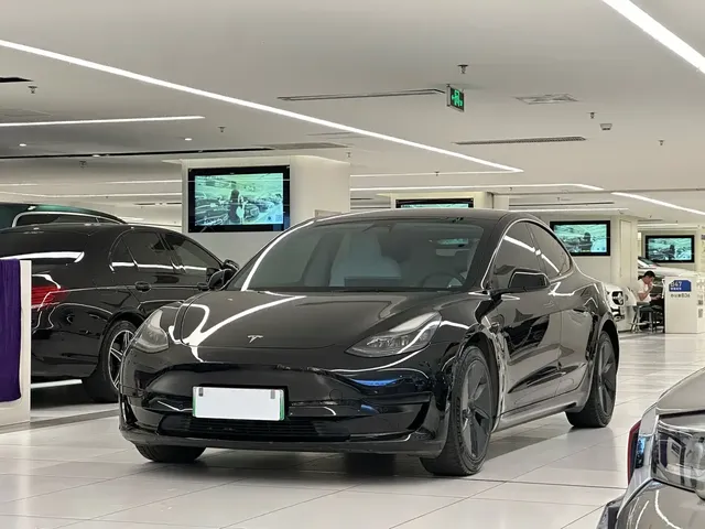 Tesla Model 3 2021 Facelift Standard Range RWD Upgrade 3D1