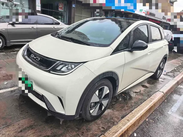 BYD Dolphin 2023 500,000 Commemorative Edition Pro
