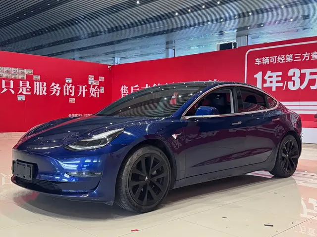 Tesla Model 3 (Import) 2019 Long Range RWD Version