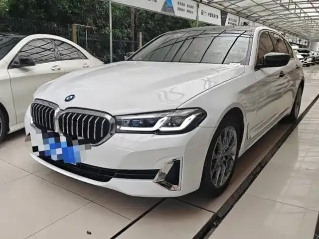 BMW 5 Series 2018 528Li Launch Special Edition