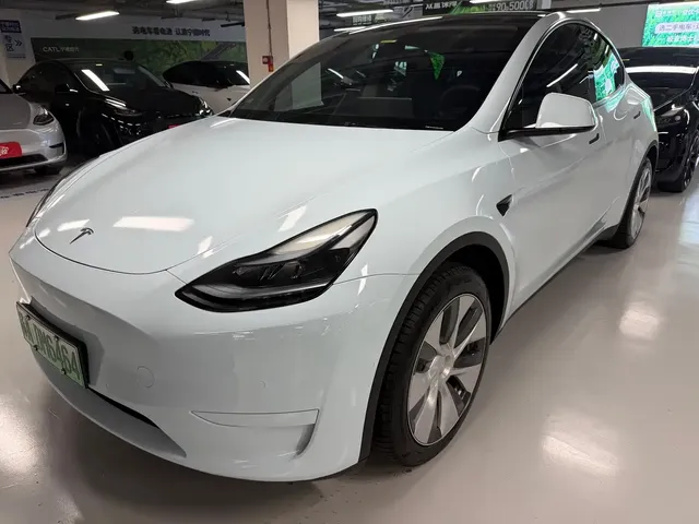 Tesla Model Y 2022 Rear-Wheel Drive Version