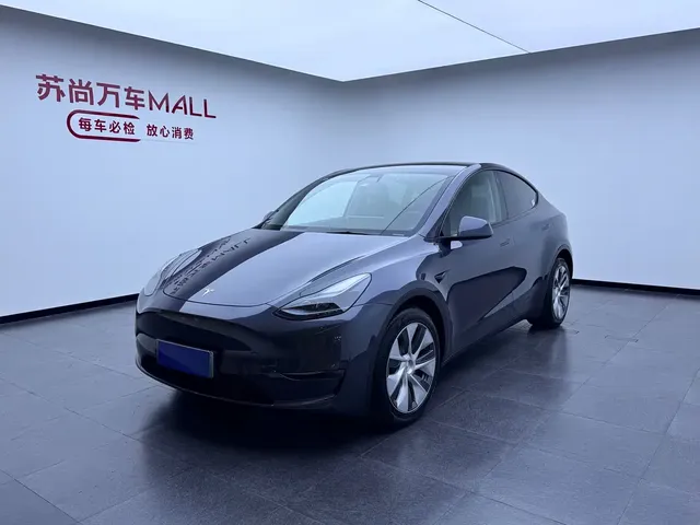 Tesla Model Y 2021 Standard Range Rear-Wheel Drive