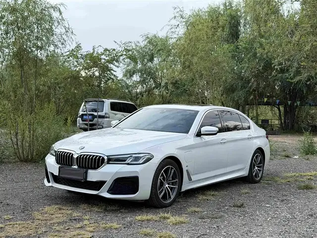 BMW 5 Series New Energy 2021 535Le M Sport Package